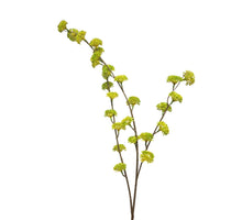Hamamelis spray pink 79cm