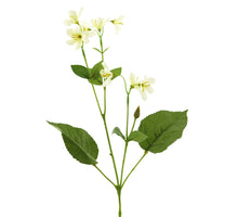 Pansia Blatt Spray grün 110cm