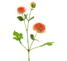 Solidago spray cream 91cm