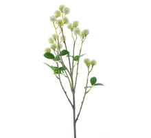 Wildbeeren-Sprühsahne 67cm