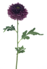 Wilde Gerbera Spray, lila, 67 cm