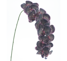 Phalaenopsis spray RT Bensa purple 111cm