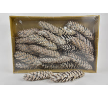 Kiefernzapfen 'Strobus' gefroren weiß ca. 25cm 25 Stück