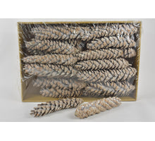 Kiefernzapfen 'Strobus', gefroren, weiß, ca. 30 cm, 25 Stück