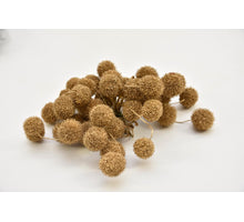 Platan bal bundel 250 gram GOLD