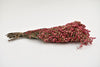 Pepperberries 200gr natürlich
