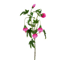 Abutilon l80cm rosa