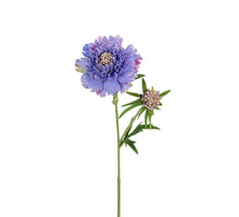 Scabiosa l58cm flieder