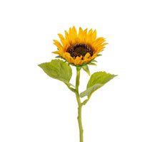 Sonnenblume l45cm gelb