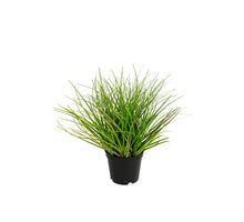 Gras h25cm p groen