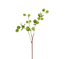 Hopfenzweig l75cm grün
