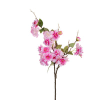 Blüte 75cm dunkelrosa