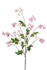 Stephanotis, 120 cm, rosa