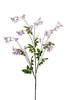 Stephanotis, 120 cm, lila