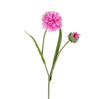 Kornblume 166cm rosa