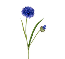 Kornblume 166cm blau