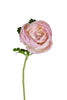 Ranonkel l62cm lt roze