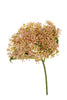 Sedum l30cm roze