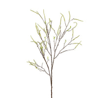 Amaranthus L 100 cm weiß