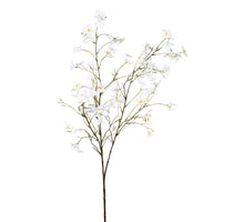 Blüte l130cm weiß