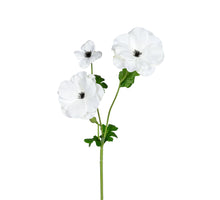 Ranunkel Butterfly L60cm weiß