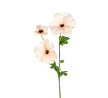 Ranunkel Butterfly L60cm Beige