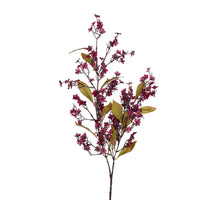 Lantana l80cm burgundy