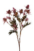 Distel l67cm burgundy