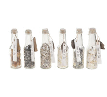 Flasche mit Muschel und Etikett Glas 16.5x5x5cm 1Stk Gemischt