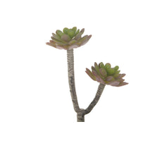 Boat coco shell Natural 50x6.5x35cm