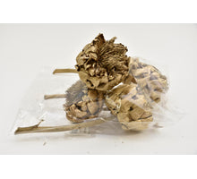 ARTICHOKE