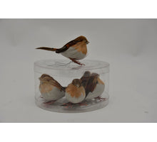 tube 6 birds/wire brown 12 cm