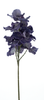 Cymbidium-Spray, auberginefarben, 76 cm