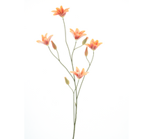 Taglilie Spray Orange 106cm