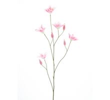 Taglilie Spray Pink 106cm