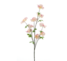 Wilde Kamelie, Sprührosa, 102 cm