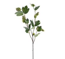 Hop spray La Choeffe green 76cm