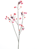Bittersüßer Sprühnebel rot 90 cm