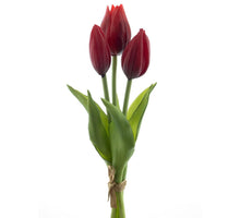 Real Touch Holland Tulip bundle Sally x3 red 25cm