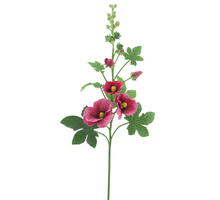 Alcea Spray Altrosa 102cm