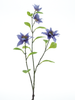 Jewel Clematis Spray Lavendel 75cm