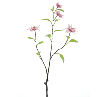 Jewel Clematis Spray Pink 75cm