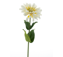 Zinnia Sprühcreme 58cm