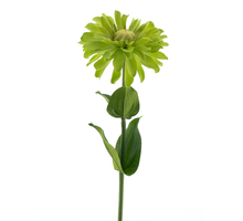 Zinnia Spray Grün 58cm