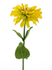 Zinnia Spray Gelb 58cm