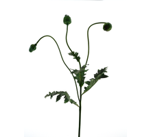 Poppy Capsuie spray green 92cm