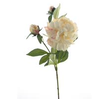 Pfingstrosenspray Sango Creme 66cm