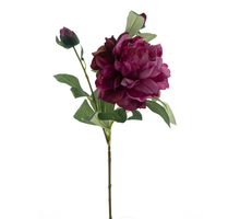 Pfingstrosenspray Sango Beauty 66cm