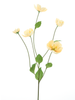 Melastoma Spray Pfirsich 76cm