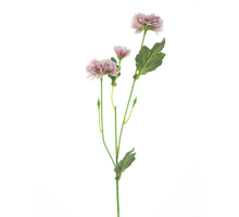 Dendranthema Spray, mauve, 58 cm